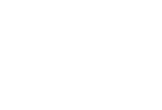 Grupo Executa